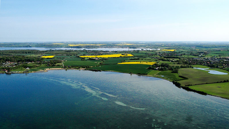 Das Wasserflugzeug während eines Rundfluges über den Ochseninseln in der Flensburger Förde.